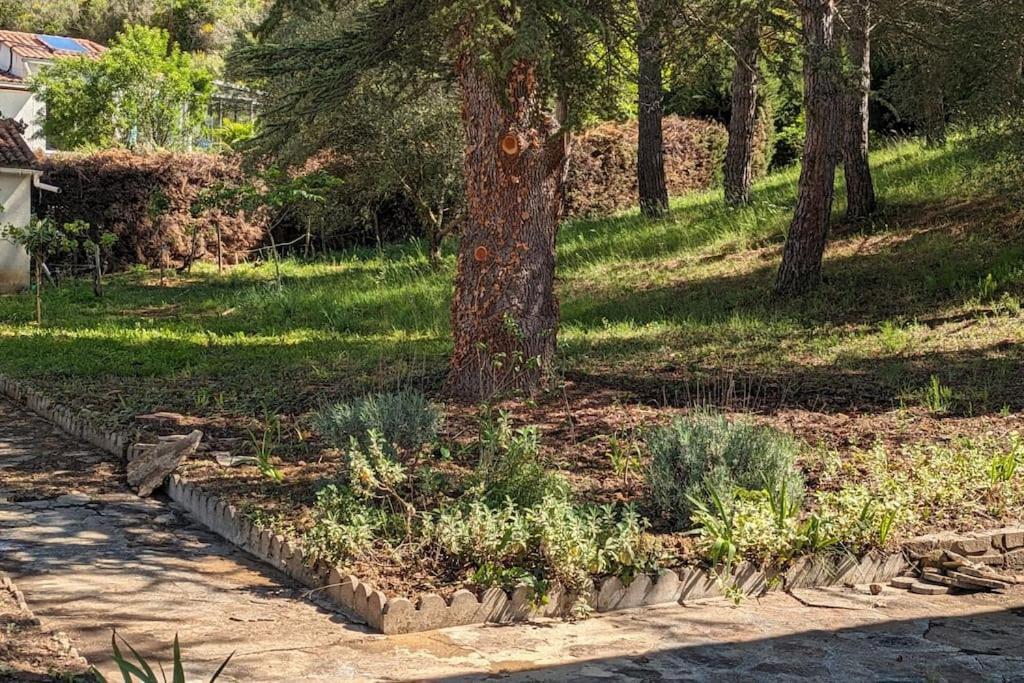 La Pinede Villa *